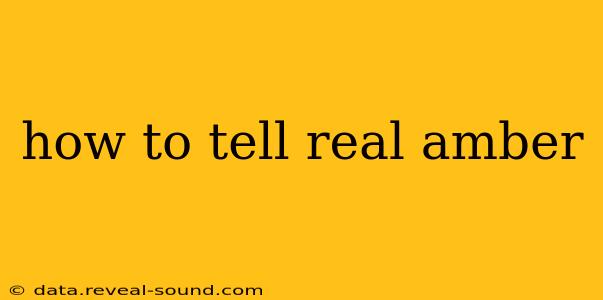 how to tell real amber
