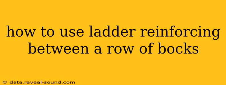 how to use ladder reinforcing between a row of bocks