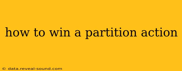 how to win a partition action