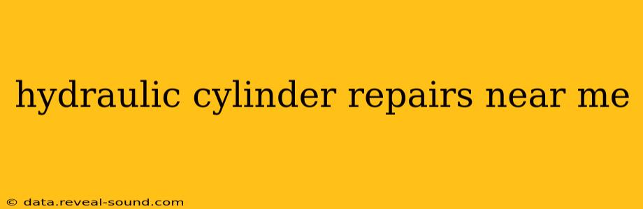 hydraulic cylinder repairs near me