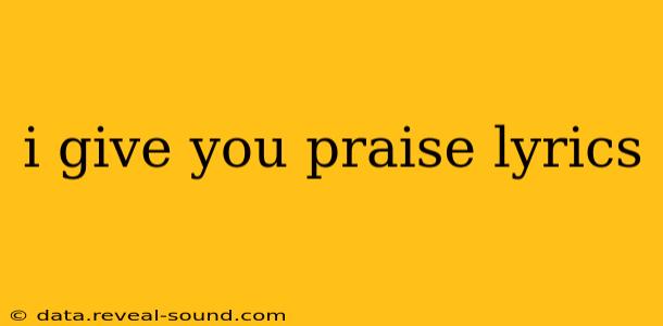 i give you praise lyrics