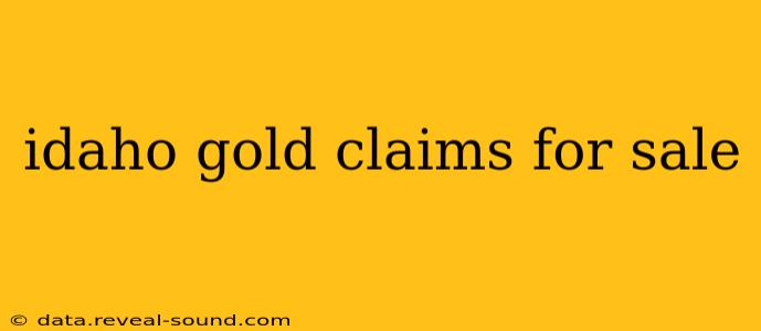 idaho gold claims for sale