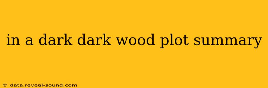 in a dark dark wood plot summary