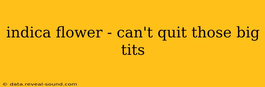indica flower - can't quit those big tits