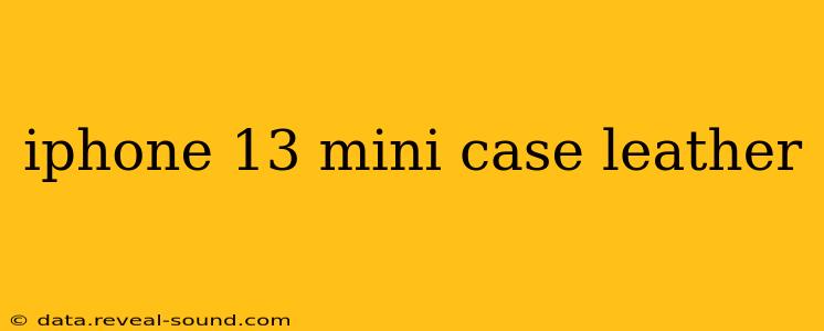 iphone 13 mini case leather