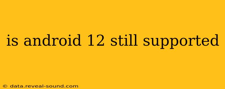 is android 12 still supported
