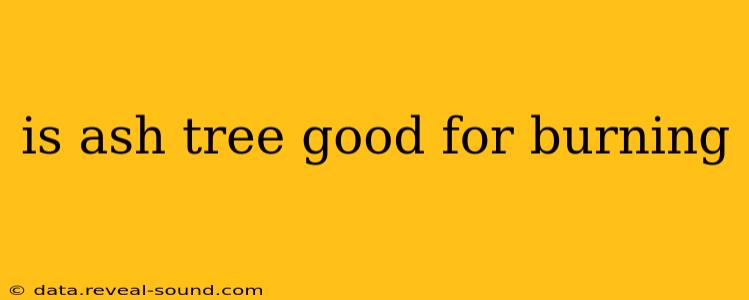 is ash tree good for burning