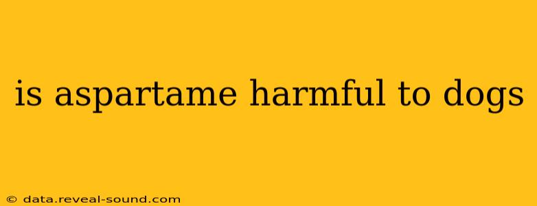 is aspartame harmful to dogs
