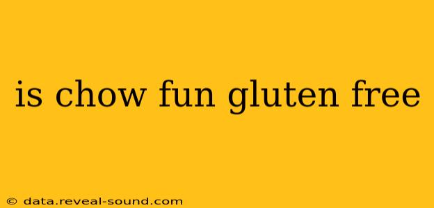 is chow fun gluten free