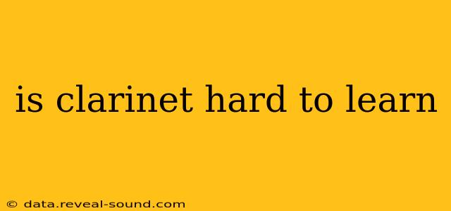 is clarinet hard to learn