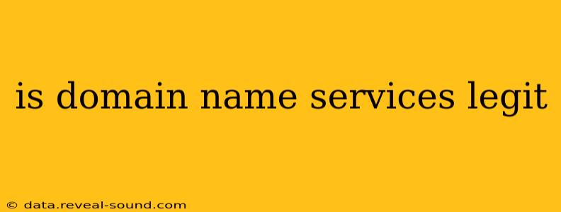 is domain name services legit