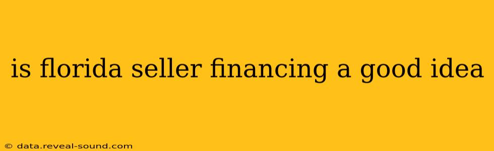 is florida seller financing a good idea