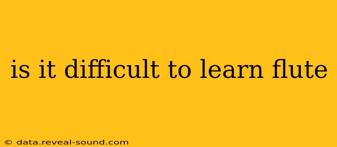 is it difficult to learn flute