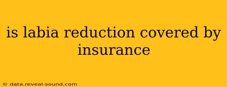 is labia reduction covered by insurance