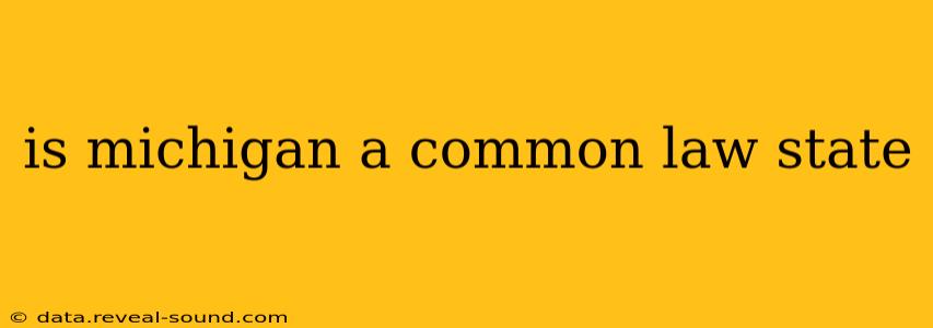 is michigan a common law state