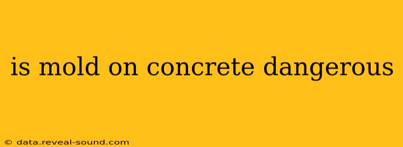 is mold on concrete dangerous