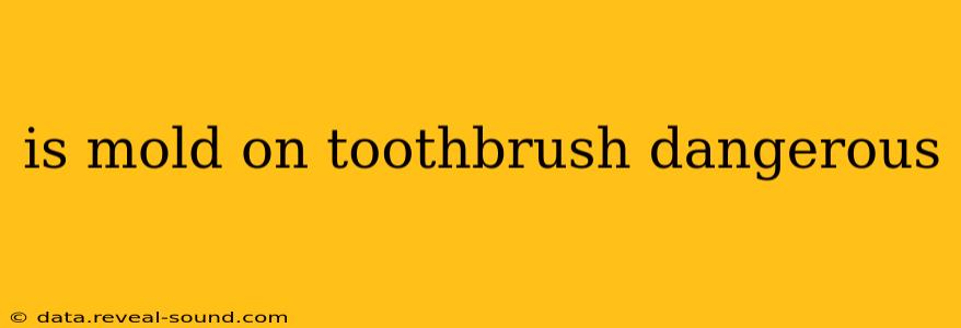 is mold on toothbrush dangerous