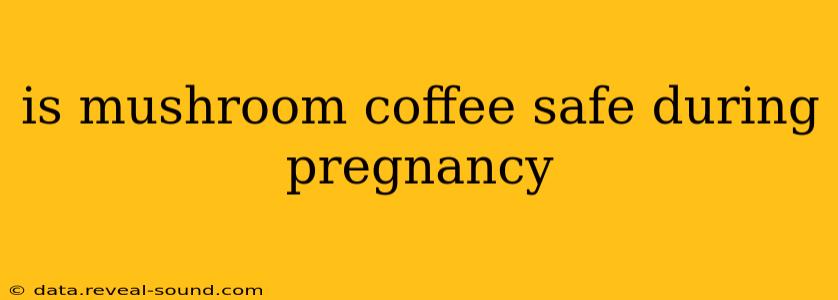 is mushroom coffee safe during pregnancy