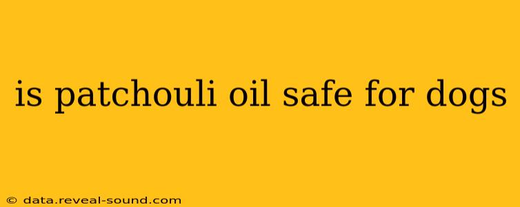 is patchouli oil safe for dogs