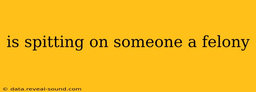 is spitting on someone a felony