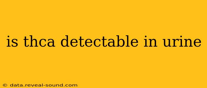 is thca detectable in urine