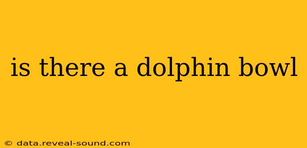 is there a dolphin bowl