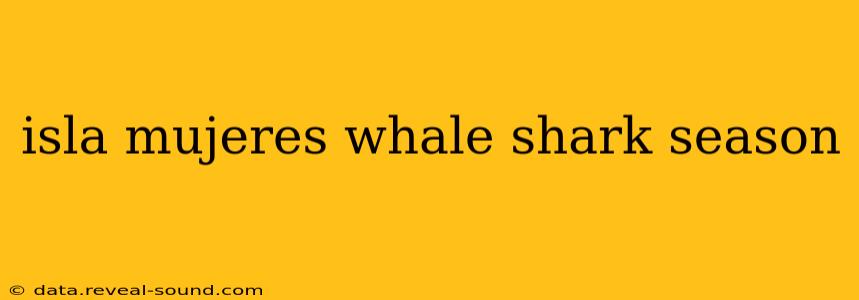isla mujeres whale shark season