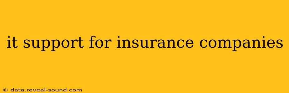 it support for insurance companies