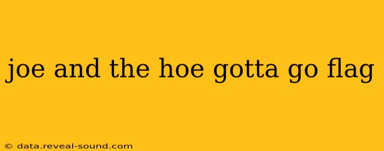 joe and the hoe gotta go flag