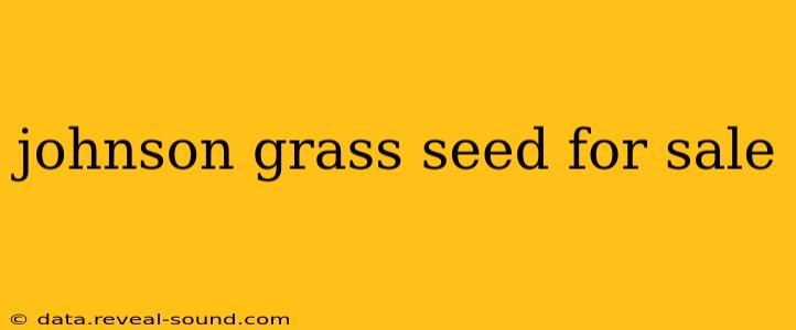 johnson grass seed for sale