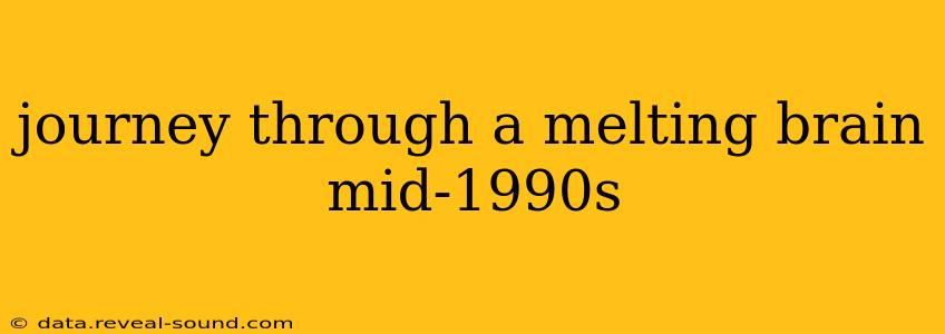 journey through a melting brain mid-1990s