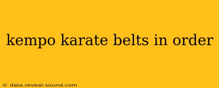 kempo karate belts in order
