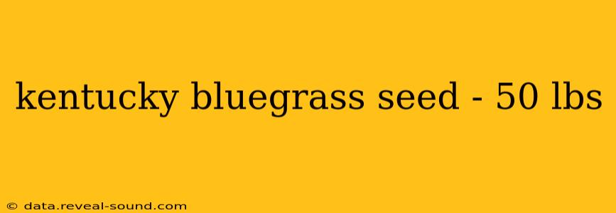 kentucky bluegrass seed - 50 lbs