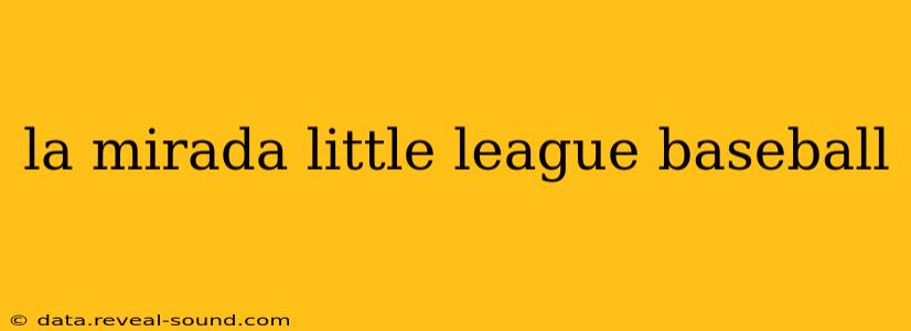 la mirada little league baseball