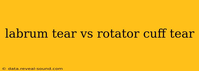 labrum tear vs rotator cuff tear