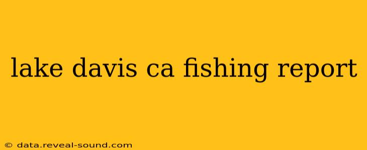 lake davis ca fishing report