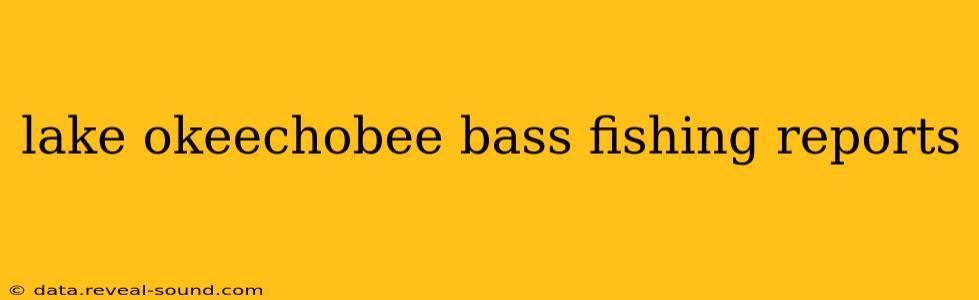 lake okeechobee bass fishing reports