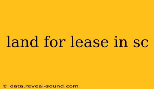 land for lease in sc