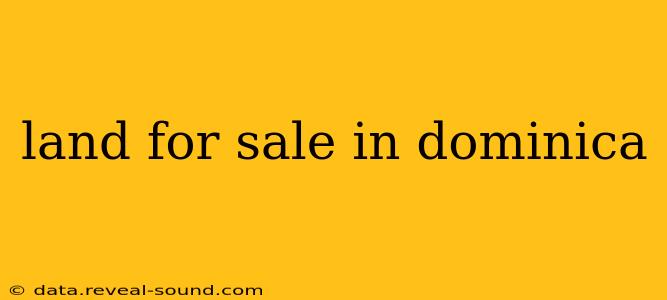 land for sale in dominica