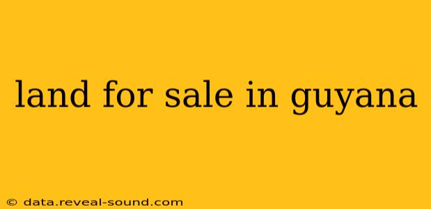 land for sale in guyana