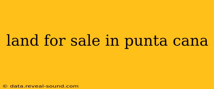 land for sale in punta cana