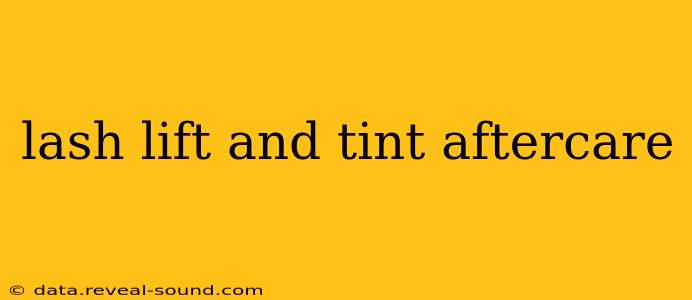 lash lift and tint aftercare
