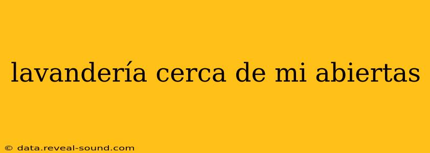 lavandería cerca de mi abiertas