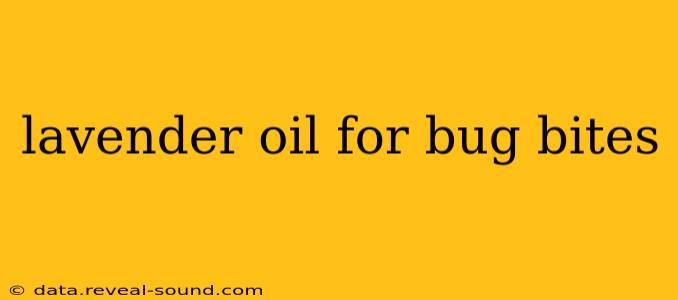 lavender oil for bug bites