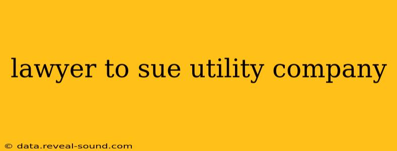 lawyer to sue utility company