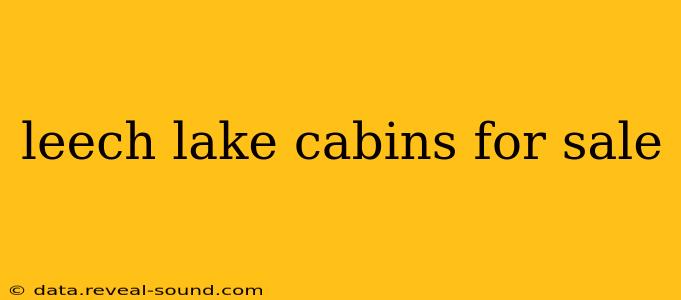 leech lake cabins for sale