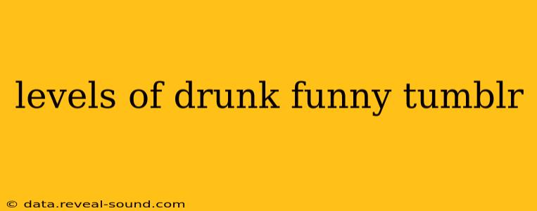 levels of drunk funny tumblr
