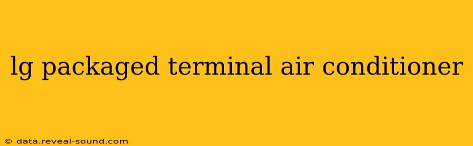 lg packaged terminal air conditioner