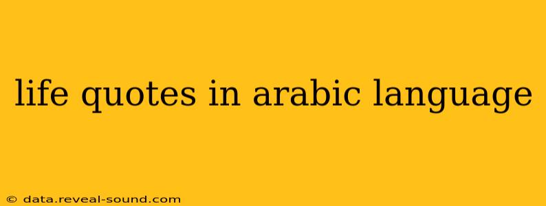 life quotes in arabic language