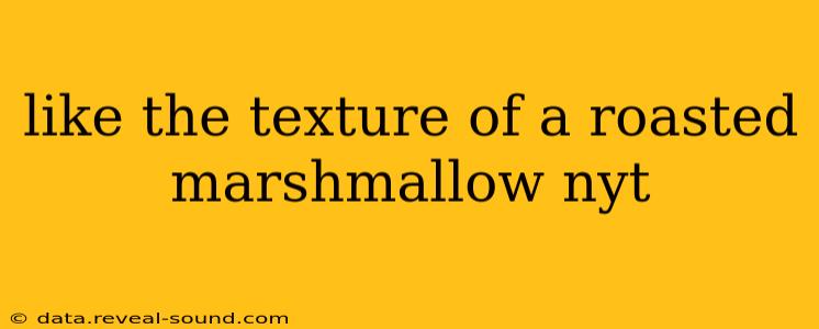 like the texture of a roasted marshmallow nyt